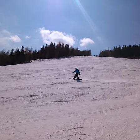 公寓 Draublick Unterpudlach