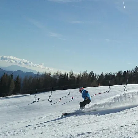 Draublick 公寓 Unterpudlach